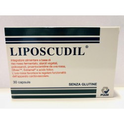 LIPOSCUDIL 30CAPSULE