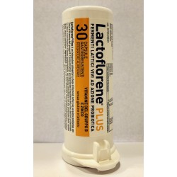 LACTOFLORENE PLUS 30CAPSULE